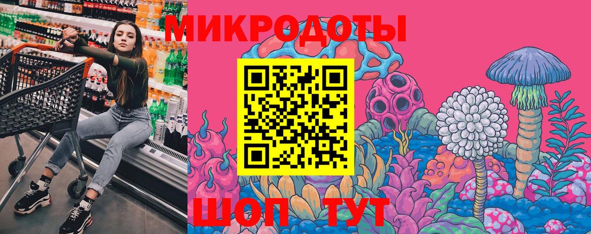 Псилоцибиновые грибы Cubensis Лысьва